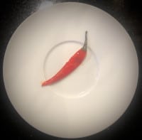 Eine kleine Chili-Schote gehört in die Soße
