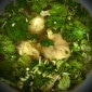 Wan Tan Suppe
