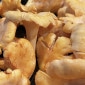 Pfifferlings-Ragout mit Kräuterkartoffeln