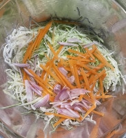 Die Zutaten für den lauwarmen Krautsalat