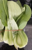 Mini-Pakchoi