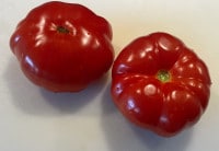 Die Ochsenherz-Tomaten für gefüllte Tomaten gratiniert