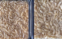 Kritharaki und Risoni im Vergleich