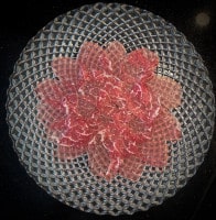 Die hauchdünnen Carpaccio Scheiben werden auf dem Teller angerichtet