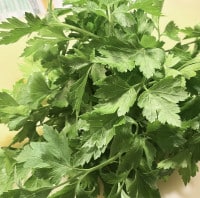 Frische glatte Petersilie